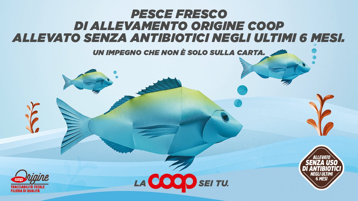 Sano come un pesce Portale Unicoop Tirreno